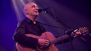 Muziek stiltegebied - Zanger Gitarist Miele