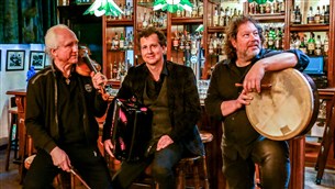 Brogans Bar, Iers Muziektrio