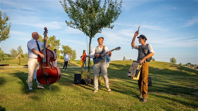 B-Bops - Allround & Akoestisch, image 5662