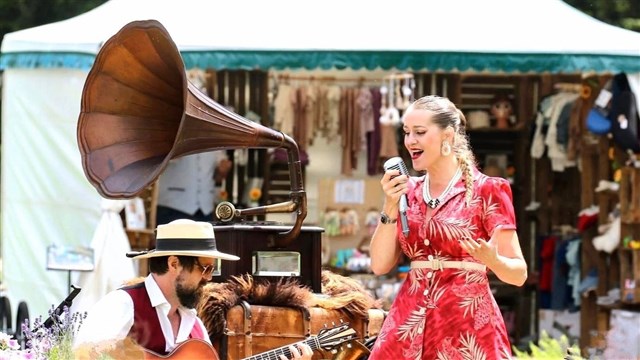 Traveling Tunes - Sfeermakers met live muziek en decor, live muziek optreden, foto 6